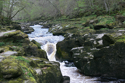 Strid Cave System Earth Science Conservation Classification - NYGP